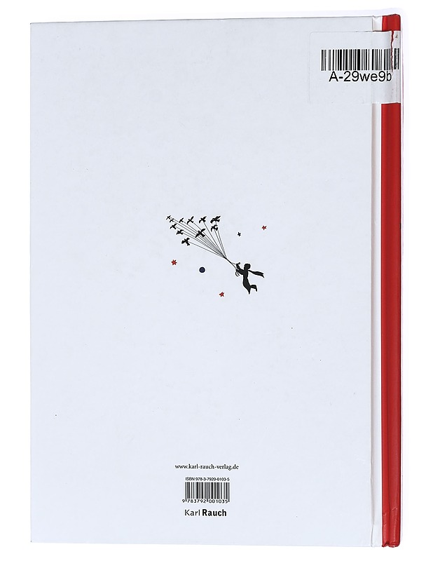 Der kleine prinz - Rauch, Karl - Lastenkirjat - 10105407336 - 1