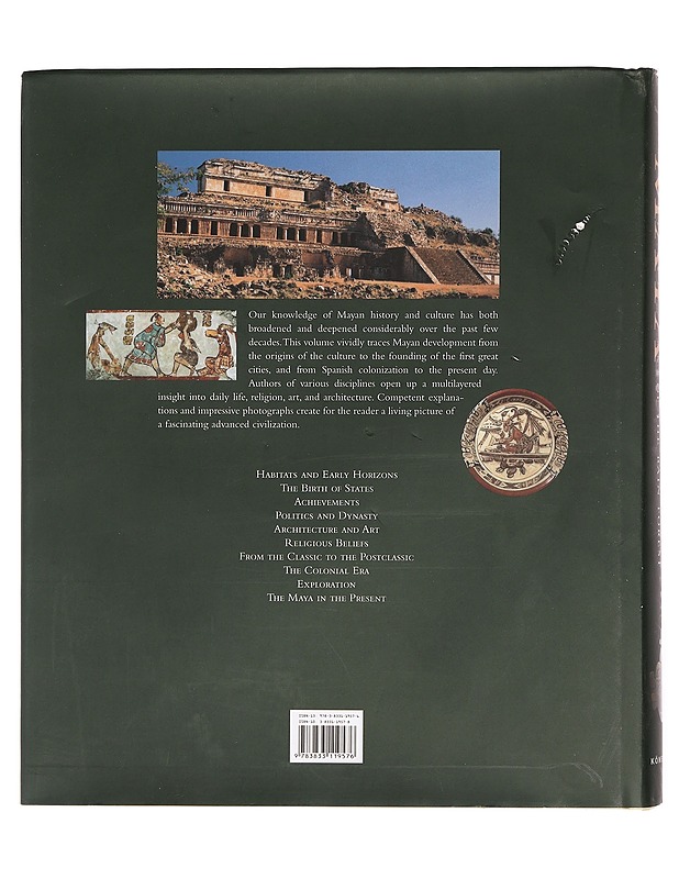 Maya: Divine Kings of the Rain Forest - Historiakirjat - 10105407412 - 1