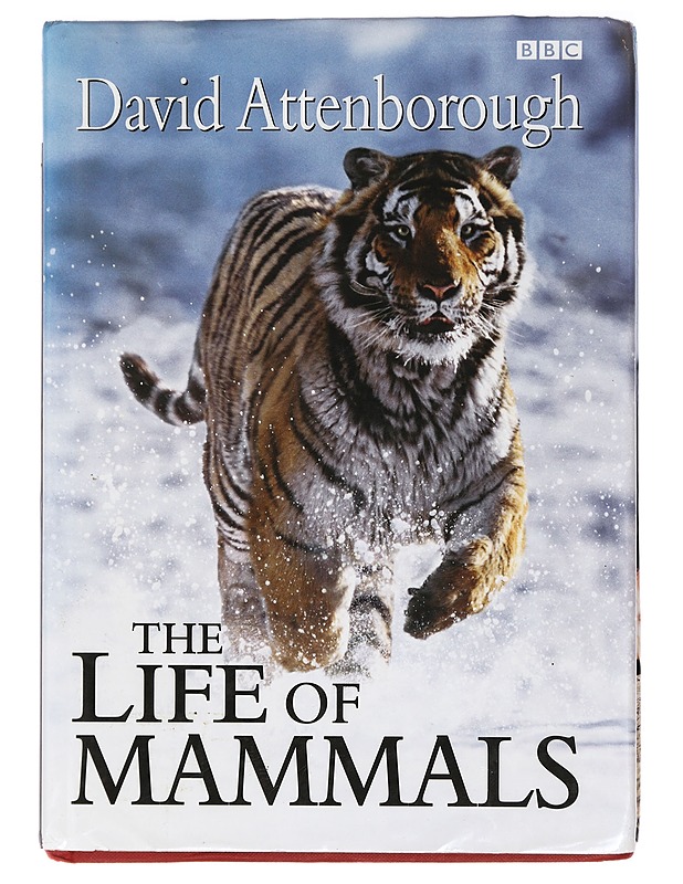 The life of mammals - David Attenborough - Lemmikki- ja luontokirjat - 10105407563 - 0
