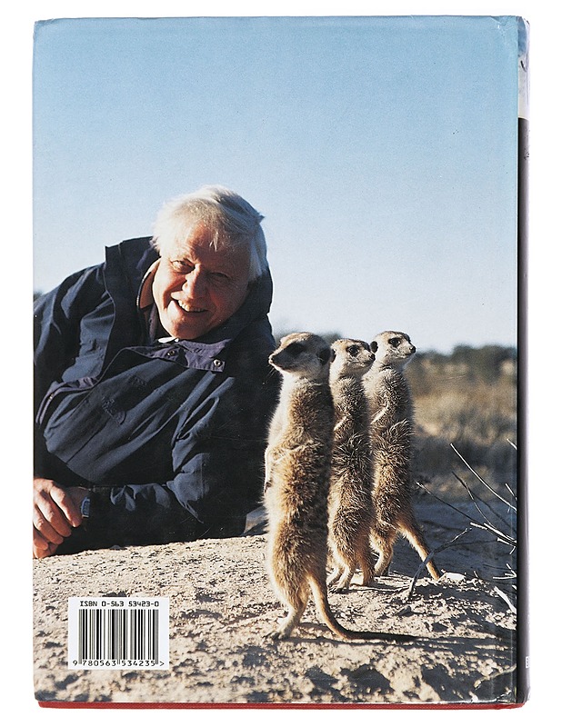 The life of mammals - David Attenborough - Lemmikki- ja luontokirjat - 10105407563 - 1