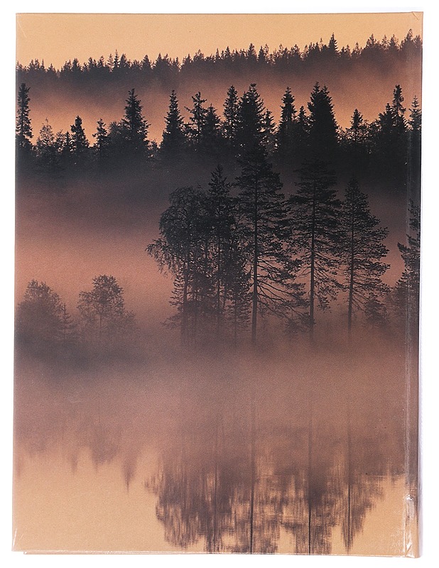 Ikimetsien kutsu : kainuulainen laulukirja - Alanko, Olli - Musiikki- ja elokuvakirjat - 10105407900 - 1