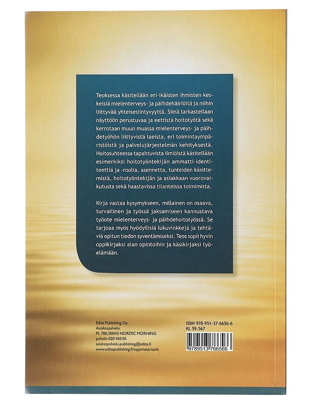 Hoitajana mielenterveys- ja päihdetyössä - Jan Holmberg - Tietokirjat ja oppaat - 10105408002 - 1