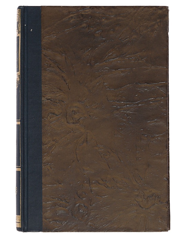 Maanpinnan muodot ja niiden synty - Iivari Leiviskä - Tietokirjat ja oppaat - 10105408044 - 0