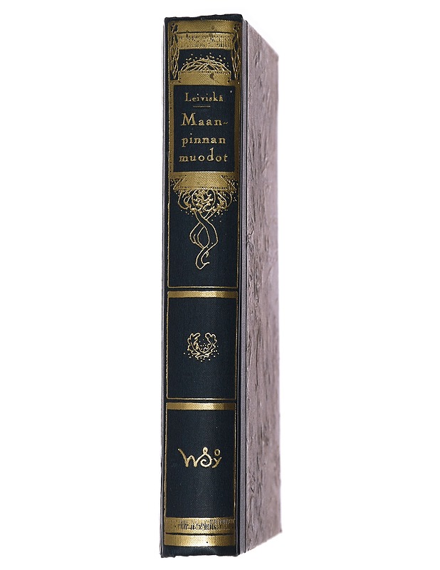 Maanpinnan muodot ja niiden synty - Iivari Leiviskä - Tietokirjat ja oppaat - 10105408044 - 1