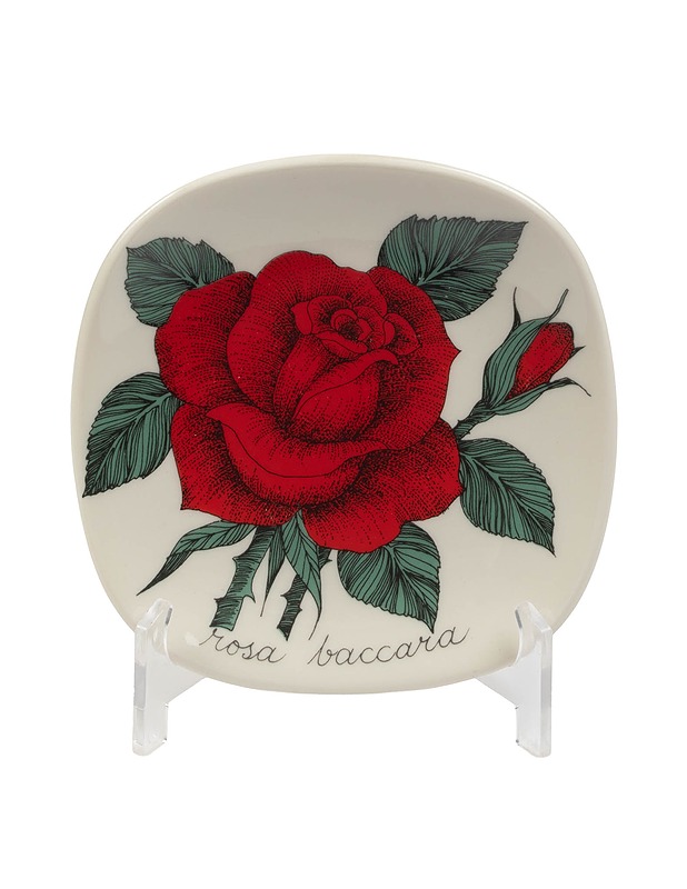 ARABIA Botanica: Rosa baccara seinälautanen - Designsuosikit - 10105408041 - 0