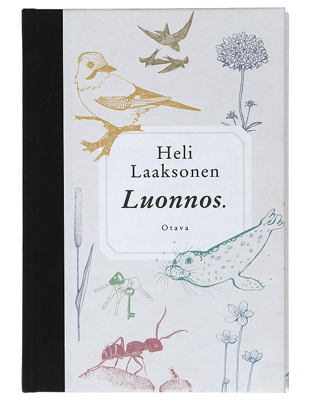 Luonnos : eräänlaisia esitelmiä - Heli Laaksonen - Romaanit ja novellit - 10105408182 - 0