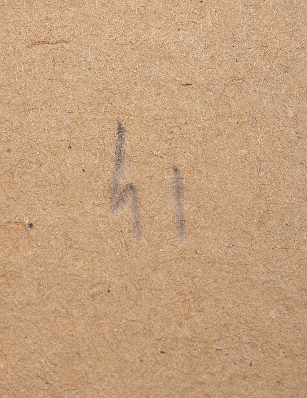 TAMMIKKO tennarit, 41 - Naisten kävelykengät ja tennarit - 10105408902 - 2