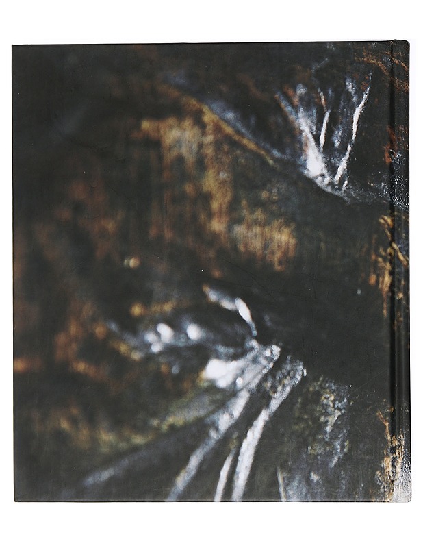 Suomalainen muotoilu: käsityöstä muotoiluun - Historiakirjat - 10105408987 - 1