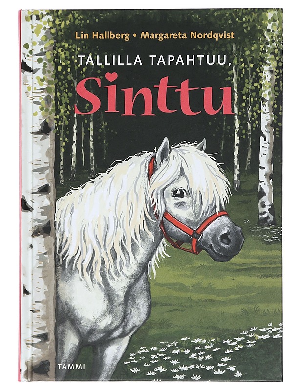 Tallilla tapahtuu, Sinttu - Hallberg, Lin - Lastenkirjat - 10105409081 - 0