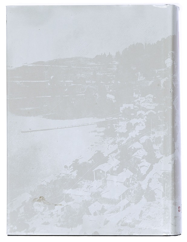 Hauhon historia. III - Ilkka Teerijoki - Historiakirjat - 10105409088 - 1