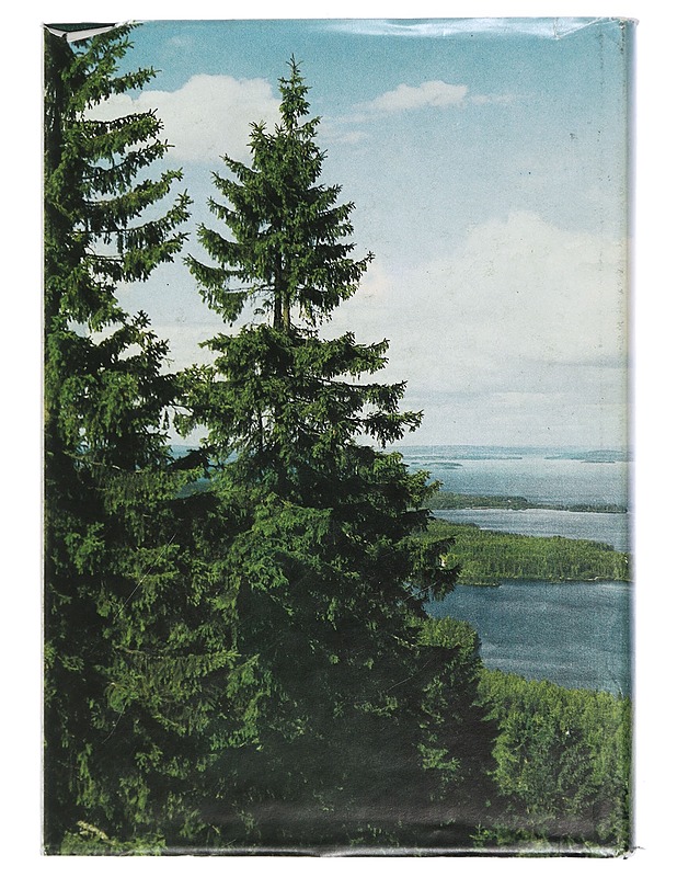 Reserviläisyys - osa suomalaisuutta - Rantanen, Matti - Historiakirjat - 10105409194 - 1