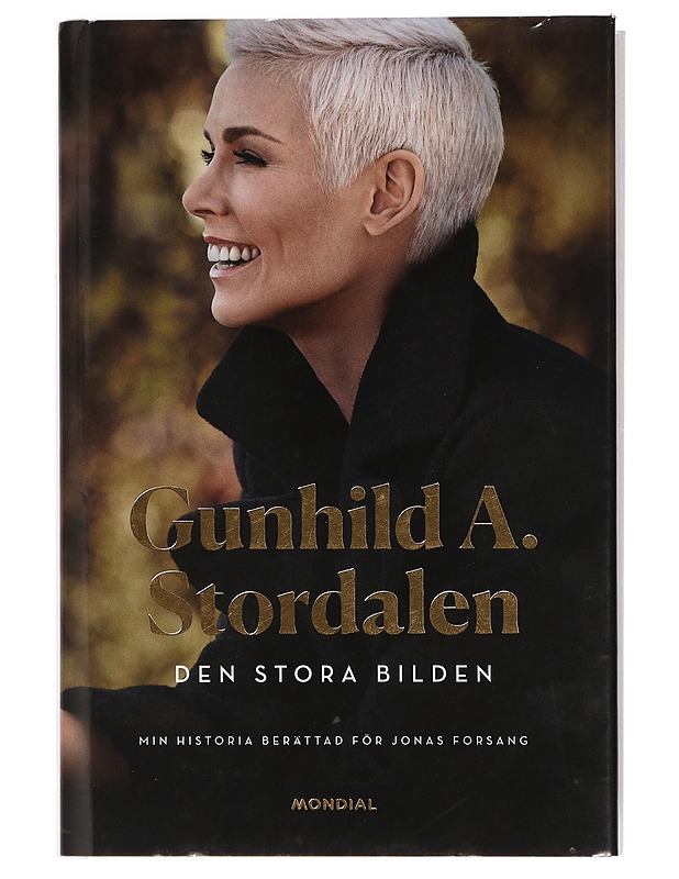 Den stora bilden - Forsang, Jonas - Elämäkerrat ja muistelmat - 10105409714 - 0