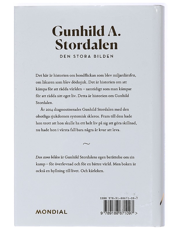 Den stora bilden - Forsang, Jonas - Elämäkerrat ja muistelmat - 10105409714 - 1