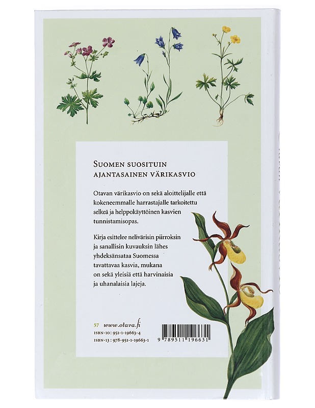 Otavan värikasvio - Gidstam, Björn - Tietokirjat ja oppaat - 10105409758 - 1