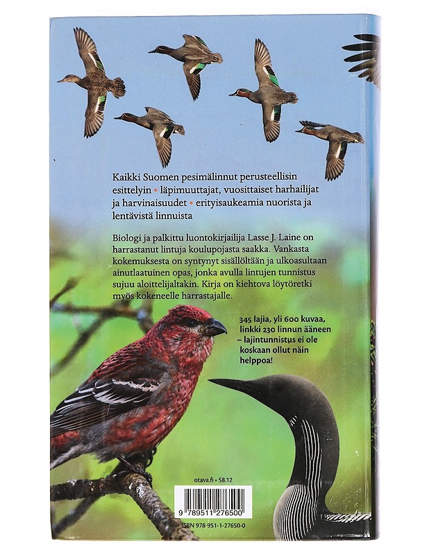 Suomen linnut : tunnistusopas - Laine, Lasse J. - Tietokirjat ja oppaat - 10105410025 - 1