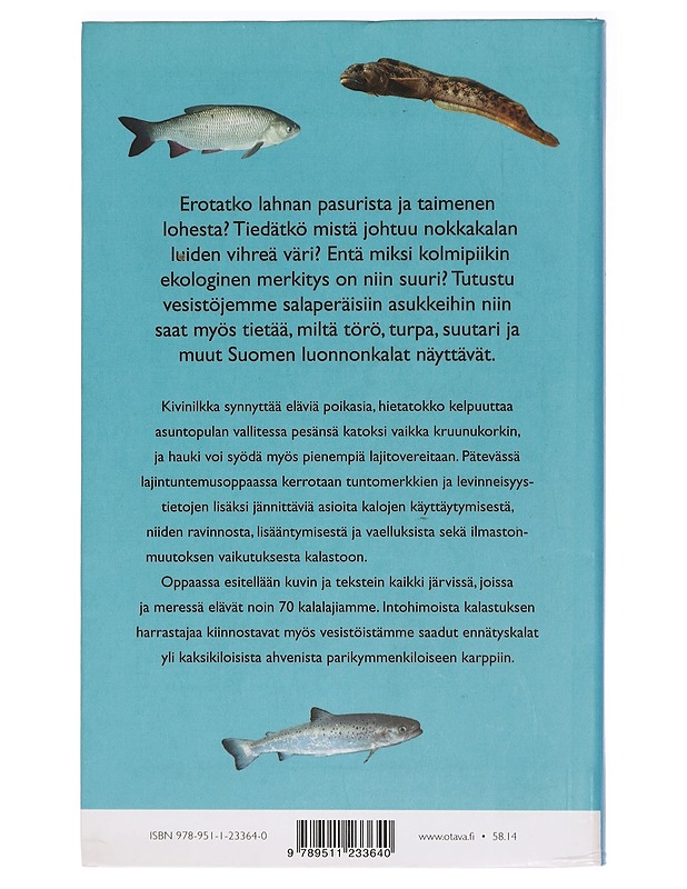 Kalat Suomen luonnossa - Ari Saura, Markku Varjo - Tietokirjat ja oppaat - 10105410032 - 1