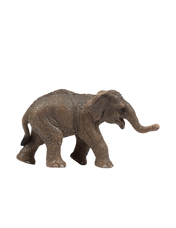 SCHLEICH Aasiannorsun poikanen - Lasten lelut - 10105410227 - 0