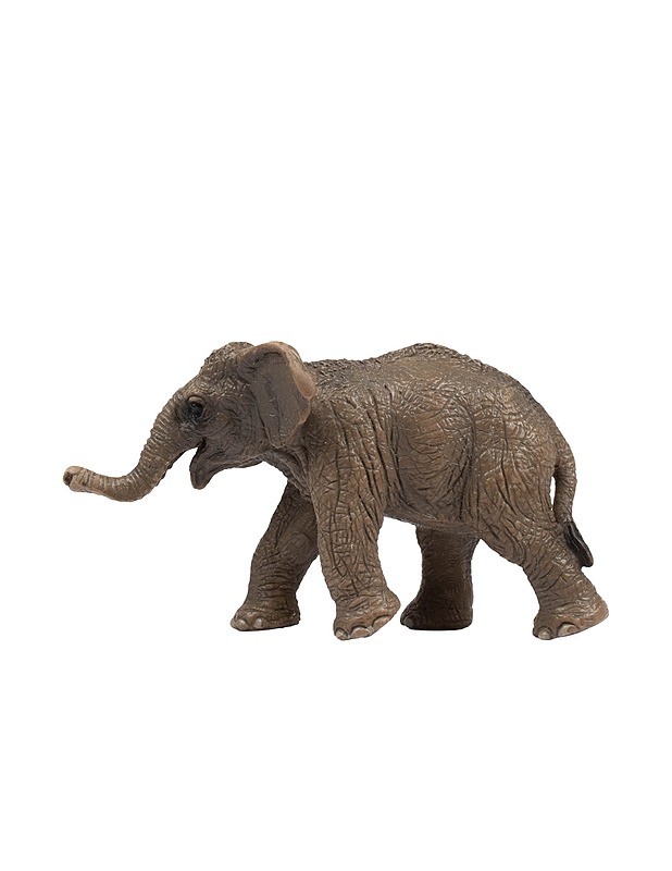 SCHLEICH Aasiannorsun poikanen - Lasten lelut - 10105410227 - 1