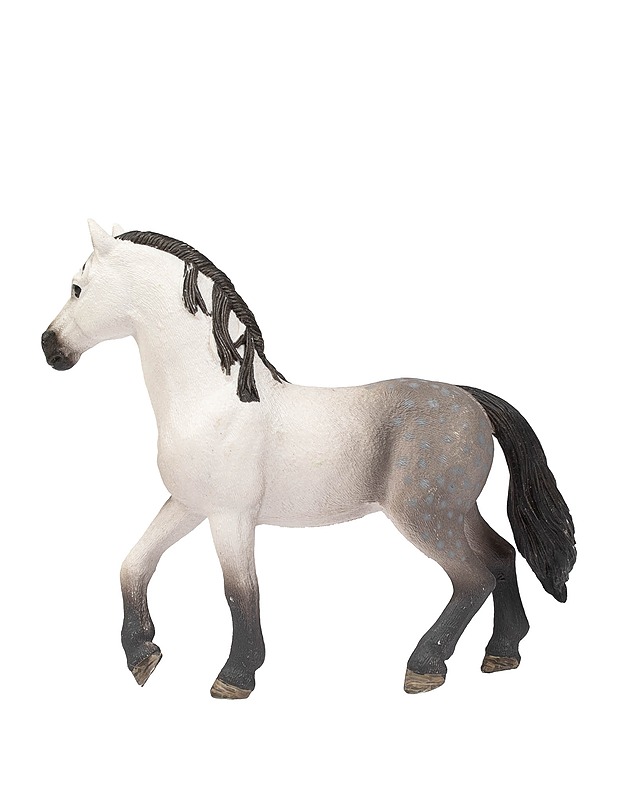 SCHLEICH Andalusianori - Lasten lelut - 10105410293 - 1
