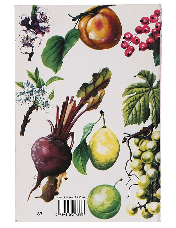 Hyötykasvit värikuvina - Rautavaara, Toivo - Tietokirjat ja oppaat - 10105410519 - 1