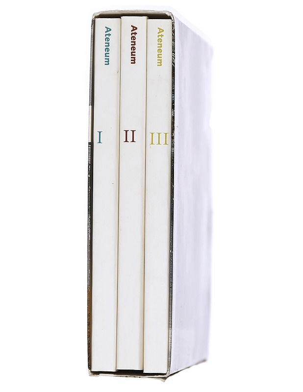 Ateneumin taidemuseo I-III - Taide- ja kulttuurikirjat - 10105410893 - 1