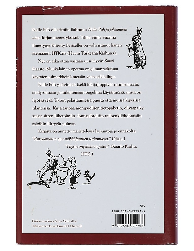 Nalle Puh ja ongelmanratkaisun taito - Allen, Roger E. - Tietokirjat ja oppaat - 10105410969 - 1