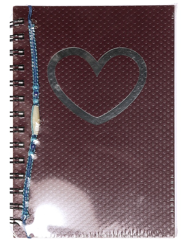 Päiväkirja - Lastenkirjat - 10105411120 - 0