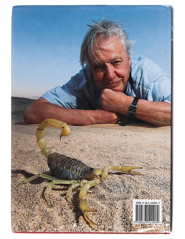 Life in the undergrowth - David Attenborough - Lemmikki- ja luontokirjat - 10105411148 - 1