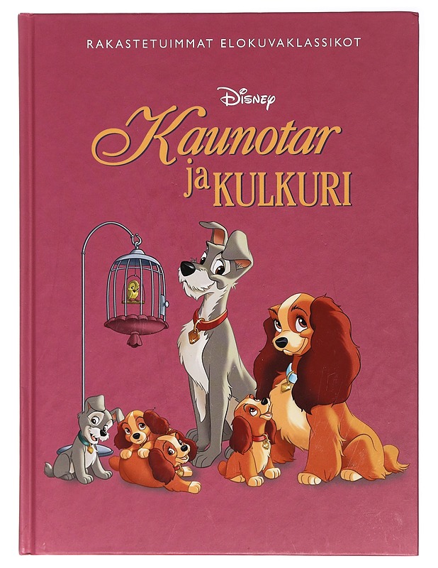 Kaunotar ja kulkuri - Heimonen, Satu - Lastenkirjat - 10105411323 - 0