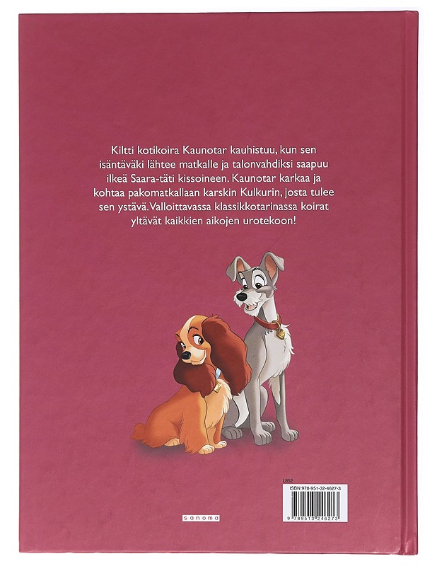 Kaunotar ja kulkuri - Heimonen, Satu - Lastenkirjat - 10105411323 - 1