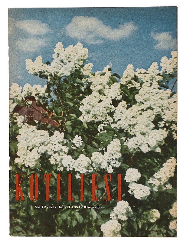 Kotiliesi No. 12 kesäkuu 1954 - Harrastekirjat - 10105411332 - 0