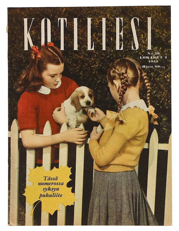 Kotiliesi No. 19 Lokakuu 1954 - Harrastekirjat - 10105411350 - 0