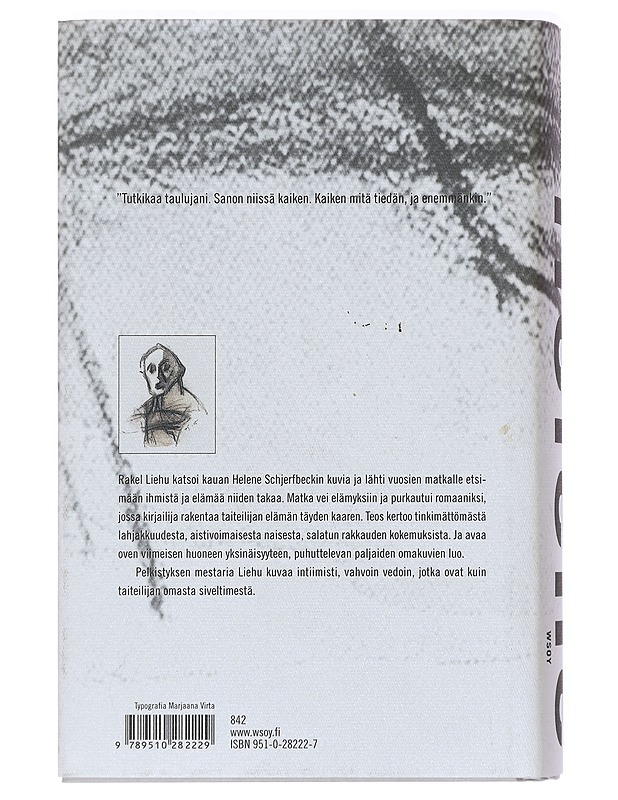 Helene : romaani Helene Schjerfbeckin elämästä - Rakel Liehu - Elämäkerrat ja muistelmat - 10105411362 - 1