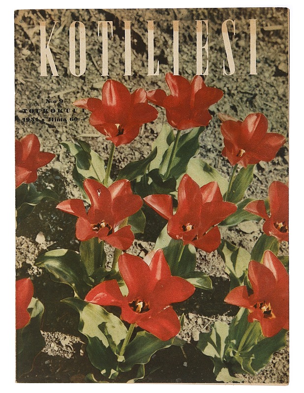 Kotiliesi No. 9 Toukokuu 1954 - Harrastekirjat - 10105411392 - 0