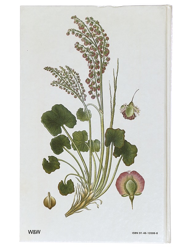 Nordens flora. 3, Planscherna 141-208 - Lindman, C. A. M. - Tietokirjat ja oppaat - 10105411408 - 1