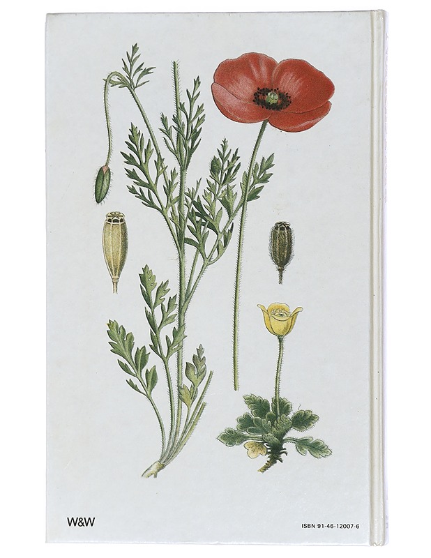 Nordens flora. 4, Planscherna 209-276 - Lindman, C. A. M. - Tietokirjat ja oppaat - 10105411414 - 1