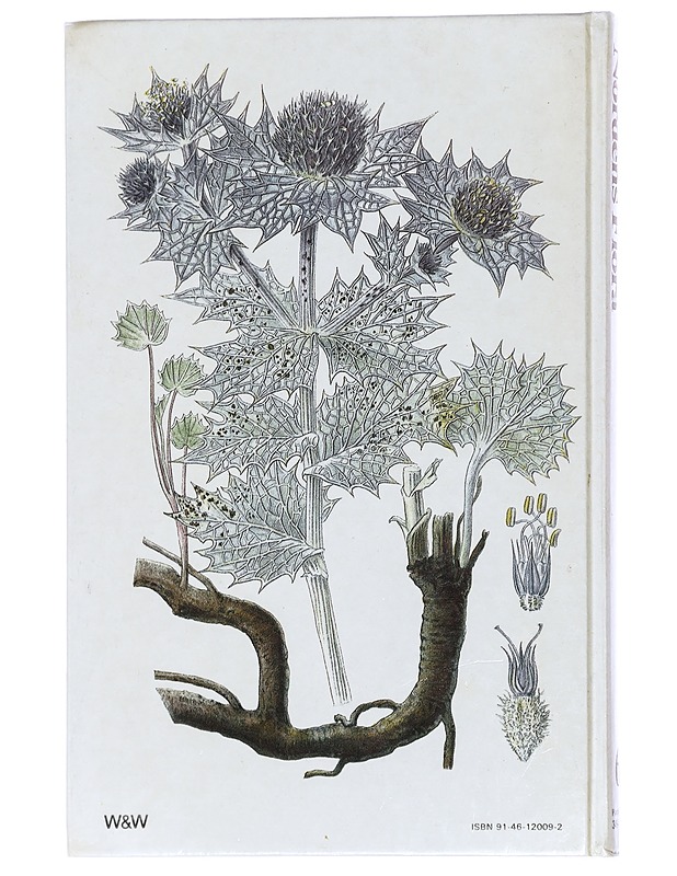 Nordens flora. 6, Planscherna 349-416 - Lindman, C. A. M. - Tietokirjat ja oppaat - 10105411426 - 1