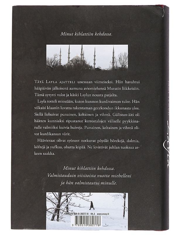 Layla : romaani - Jari Tervo - Romaanit ja novellit - 10105411480 - 1