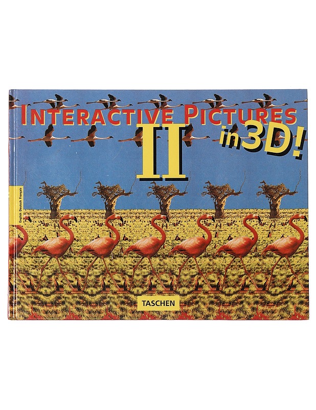 Interactive Pictures II - Riemschneider, Burkhard - Tietokirjat ja oppaat - 10105411558 - 0