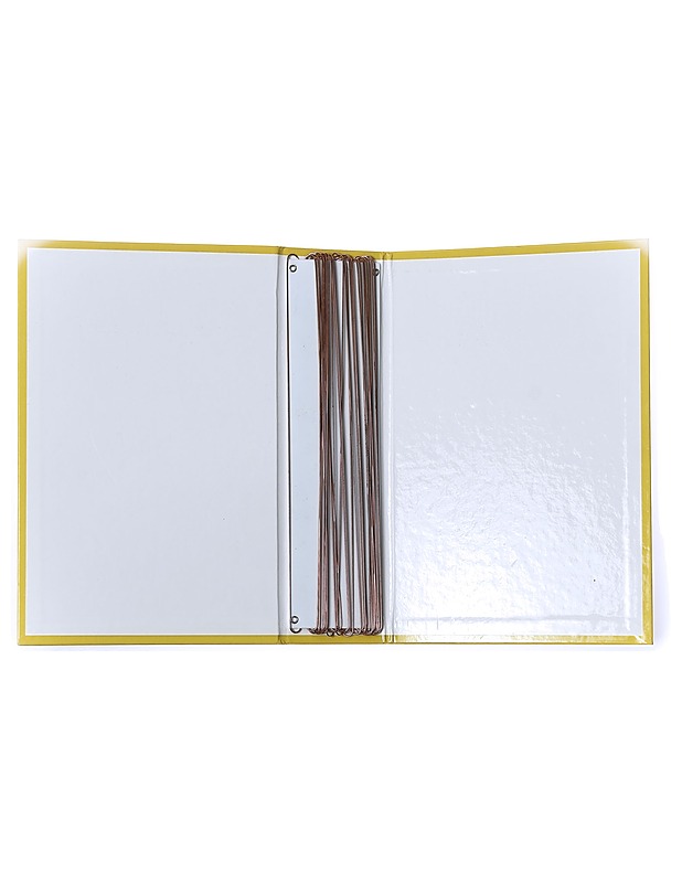 Aku Ankka-lehtikansio - Sarjakuvat - 10105411573 - 1