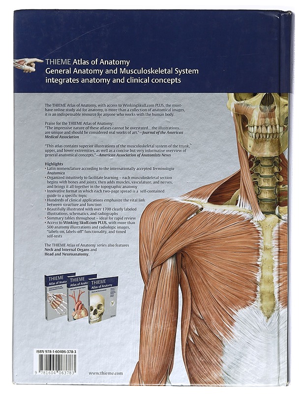 Thieme atlas of anatomy : general anatomy and musculoskeletal system - Schünke, Michael - Tietokirjat ja oppaat - 10105412337 - 1