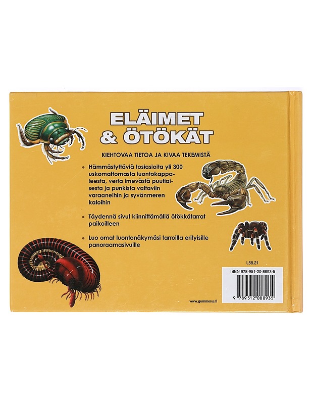 Eläimet & ötökät : maailman hirmuiset pikkupedot - Hammond, Paula - Lastenkirjat - 10105413038 - 1