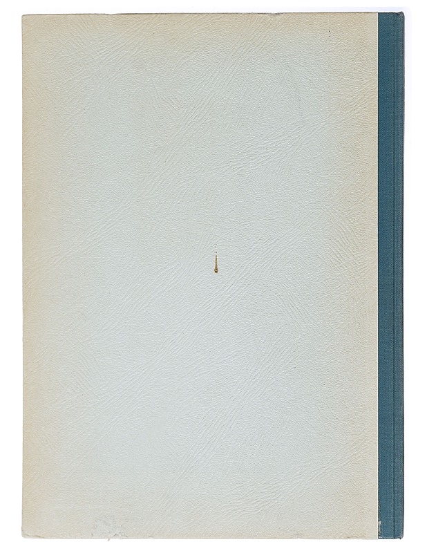 Suomalaisia koteja - Historiakirjat - 10105413046 - 1