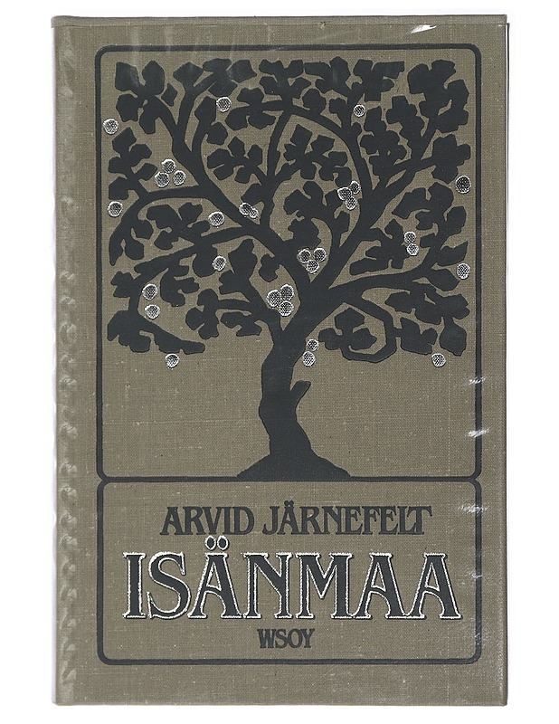 Isänmaa - Järnefelt, Arvid - Romaanit ja novellit - 10105413351 - 0
