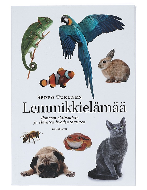 Harakka huttua keittää ja muita suomalaisia lastenloruja - Torvinen, Jukka - Lastenkirjat - 10105413526 - 0