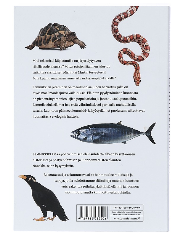 Harakka huttua keittää ja muita suomalaisia lastenloruja - Torvinen, Jukka - Lastenkirjat - 10105413526 - 1