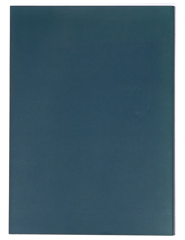 Italian runoutta 1900-luvulta : 33 runoilijaa - 120 runoa - Pieraccini, Rolando - Romaanit ja novellit - 10105413705 - 1