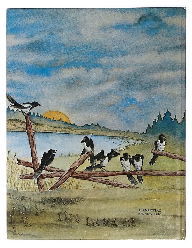 Sagor och osagor - Numminen, M.A - Romaanit ja novellit - 10105414358 - 1