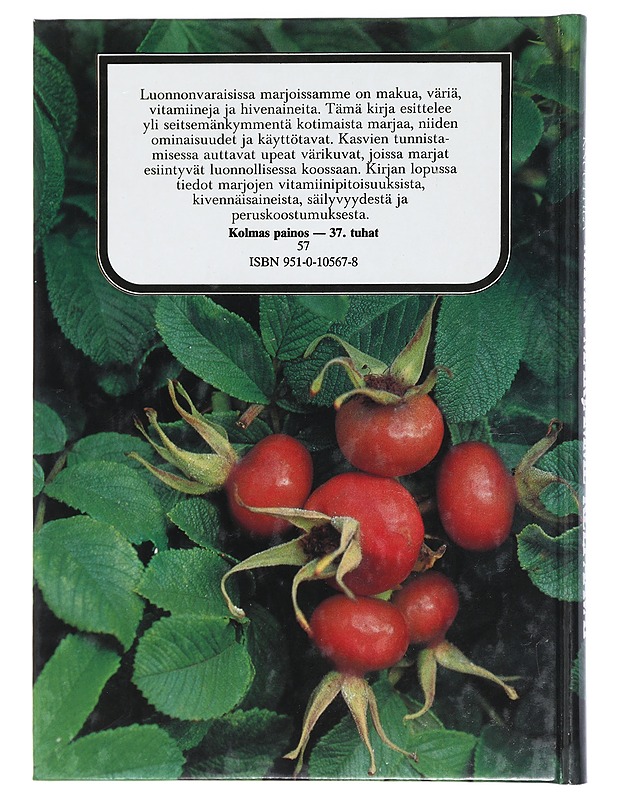 Mihin marjamme kelpaavat - Rautavaara, Toivo - Harrastekirjat - 10105414433 - 1