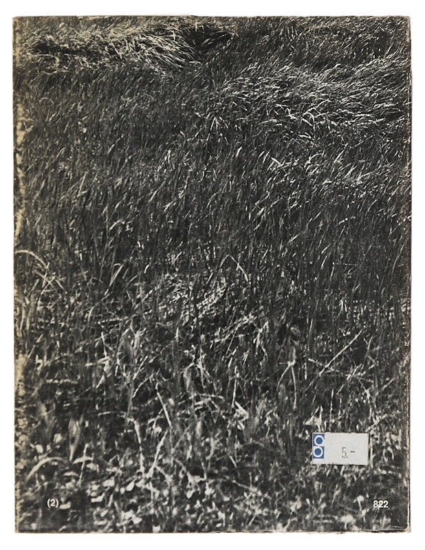 Vehnäpelto kasvaa heinää - Kalevi Seilonen - Runot ja näytelmät - 10105414544 - 1